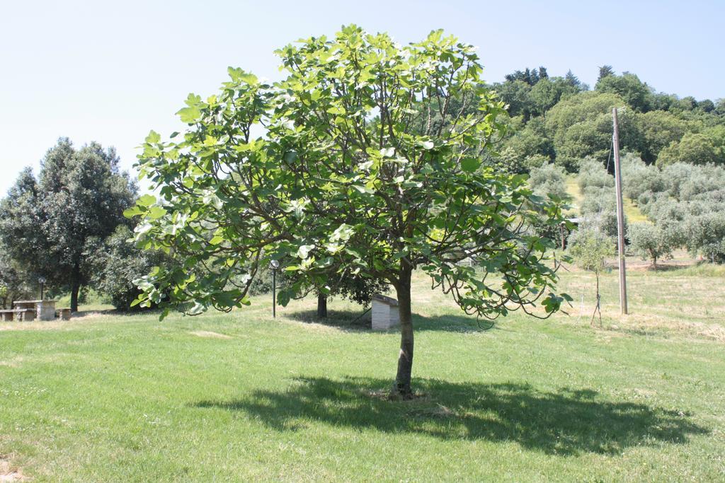 Il Vallone Di Melezzole Villa Exterior foto