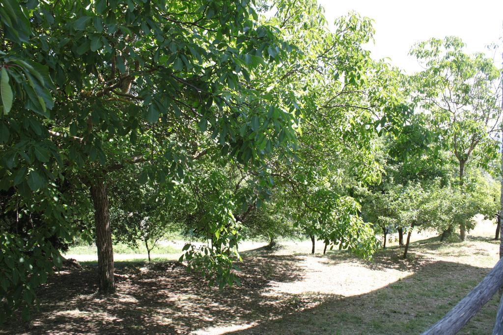 Il Vallone Di Melezzole Villa Exterior foto